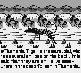 Tasmania Story screenshot 4 for GameBoy